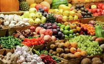 Ai Cập muốn thay thế Thổ Nhĩ Kỳ xuất khẩu hàng hóa vào Nga