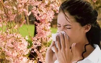 Cách phòng tránh viêm mũi dị ứng