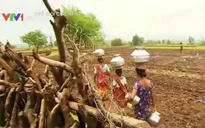 Thân phận những người vợ "nước" tại Ấn Độ
