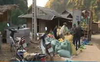 Sơn La: An cư cho đồng bào di cư tự do