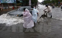 Nhiều tuyến đường ở Cần Thơ ngập sâu do mưa lớn kéo dài
