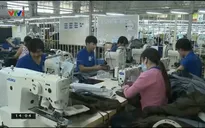 Liên kết doanh nghiệp dệt may trong nước - Hướng đi tất yếu khi hội nhập