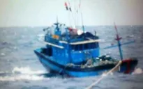 Chìm tàu câu mực ở Trường Sa: Đã vớt được 16 ngư dân