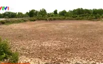 Xuất khẩu thủy sản gặp khó, người nuôi tôm "treo" ao