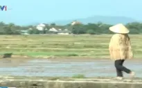 Tránh nắng nóng nhờ... áo tơi