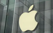 Apple sẽ ra mắt công cụ tìm kiếm cạnh tranh với Google?