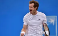Murray quyết "giải bài toán" Novak Djokovic ở Wimbledon 2015