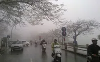 Bắc Bộ mưa nhỏ, nền nhiệt tăng, sương mù dày đặc