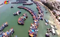Ngư dân bám biển ngay trong những ngày Tết