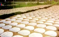 Quà quê biếu Tết: Bánh tráng Cù Lao Mây
