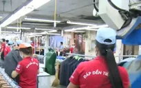 Luật BHXH mới có thể tạo hiệu ứng dây chuyền không tốt