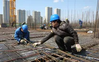 Bắt buộc mua bảo hiểm trong đầu tư xây dựng