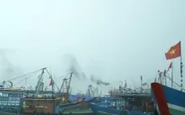 Đà Nẵng: Âu thuyền Thọ Quang quá tải vì tàu thuyền trú bão số 3