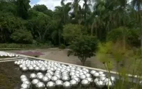 Bảo tàng thiên nhiên ngoài trời lớn nhất thế giới mở cửa đón khách
