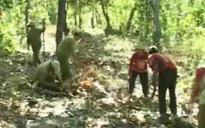 Nhiều tháng không lương vẫn quyết tâm bảo vệ rừng