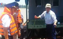Bắt giữ tàu vận chuyển 20.000 lít dầu FO trên biển