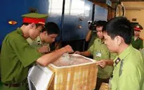 Ninh Bình: Phát hiện xe khách vận chuyển hơn 700kg nội tạng động vật trái phép