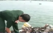 Quảng Ngãi: Bắt giữ tàu vận chuyển 10.000 tấn rác thải nguy hại