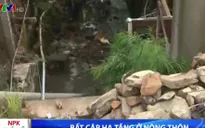 Phú Yên: Bất cập hạ tầng ở nông thôn