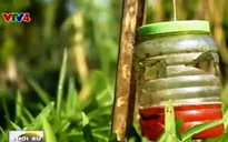 Sinh viên áp dụng kỹ thuật phát triển nông nghiệp hữu cơ