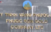Khó xử lý 60 tấn cyanua giả tại Quảng Nam