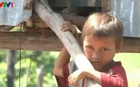 Gia Lai: Người chết do tự tử nhiều hơn... tai nạn giao thông