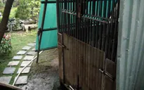 TP.HCM: Bé trai 3 tuổi bị gấu cắn đứt tay