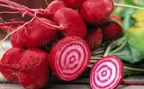 Củ cải đường - Nguyên liệu tỷ USD trong tương lai?