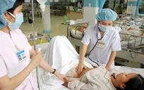 Sốt xuất huyết gia tăng ở người lớn