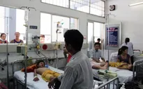 Hà Nội: 3.000 người mắc sốt xuất huyết