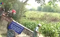 Máy vớt bèo thiết thực với môi trường nông thôn