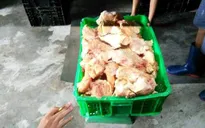 Cận cảnh kho chứa 10 tấn gà đông lạnh quá hạn sử dụng