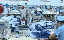 Tăng mức đóng bảo hiểm xã hội, DN ảnh hưởng, người dân băn khoăn
