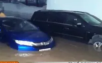 TP.HCM: Bảo hiểm ô tô ngập nước tăng vọt
