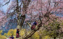 Những điều cần biết cho người dự định du lịch Bhutan