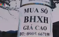 Mua bán sổ bảo hiểm xã hội: Hệ lụy khó lường