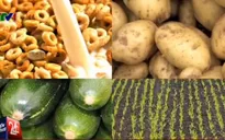 Sử dụng thực phẩm biến đổi gen liệu có an toàn?