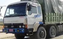 Bình Thuận: Bắt 2 xe quá tải gắn biển số đỏ giả