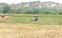 Bình Thuận: Tìm lời giải cho bài toán sống chung với hạn