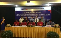 Hỗ trợ ngư dân Bình Định đóng mới 7 tàu vỏ thép