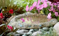 Sáng tạo với cảnh quan sân vườn