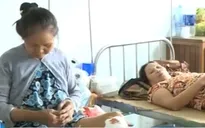 Truy tìm dấu vết lợn rừng tấn công người tại Quảng Nam