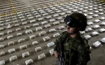 Colombia tịch thu nửa tấn cocaine trị giá gần 10 triệu USD