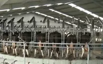 Tăng niềm tin người tiêu dùng với sản phẩm nông nghiệp Việt Nam