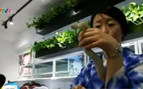 Cà phê… rắn tại Nhật Bản