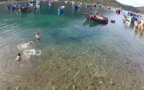 Bố ơi!Mình đi đâu thế?: Bố con khám phá trời biển Nha Trang