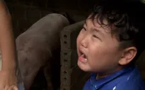Bố ơi! Mình đi đâu thế? 2: Con trai Xuân Bắc khóc nức nở khi bị bố mắng