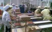 Bộ Tài chính bãi bỏ một số khoản thu về phí và lệ phí trong công tác thú y