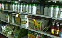 Thị trường phân bón giả, kém chất lượng ngày càng tinh vi