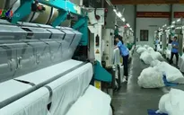 DN bông sợi trong nước trước sức ép của hàng nhập khẩu
